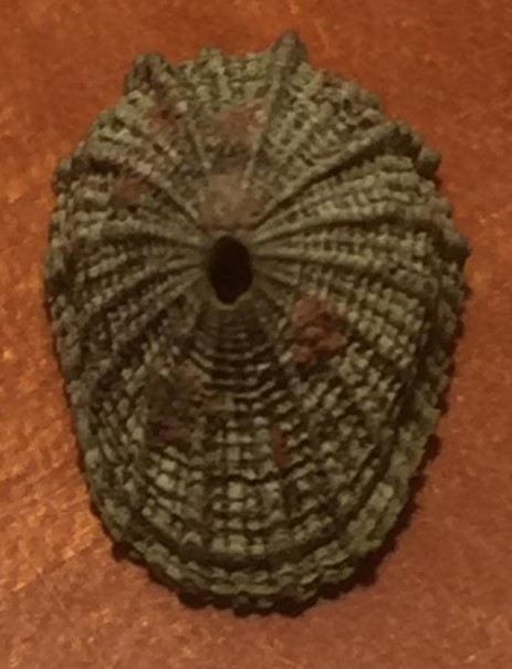 Aiuto ID